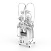 High Quality Fat Freezing Machine without Vacuum for Sale 