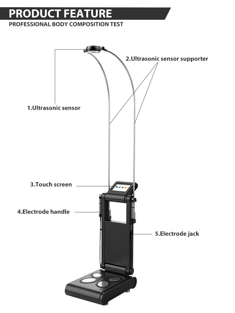 Body Composition Analyzer for Fat Measurement GS6.5 - Buy body composition  analyzer, body composition analyser, body composition analysis machine  Product on Newangie